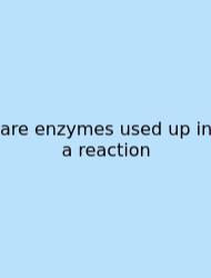 Are Enzymes Used Up In A Reaction
