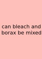 Can Bleach And Borax Be Mixed