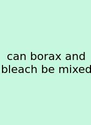 Can Borax And Bleach Be Mixed