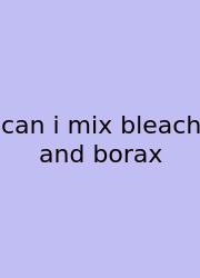 Can I Mix Bleach And Borax