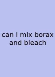 Can I Mix Borax And Bleach