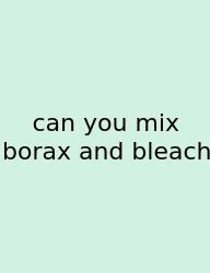 Can You Mix Borax And Bleach