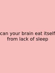 Can Your Brain Eat Itself From Lack Of Sleep