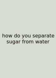 How Do You Separate Sugar From Water