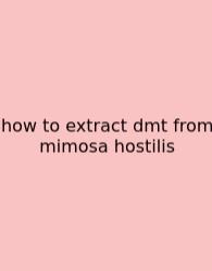 How To Extract Dmt From Mimosa Hostilis