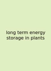 Long Term Energy Storage In Plants