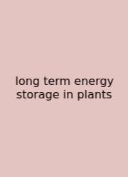 Long Term Energy Storage In Plants