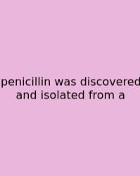 Penicillin Was Discovered And Isolated From A
