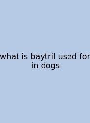 What Is Baytril Used For In Dogs