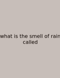 What Is The Smell Of Rain Called