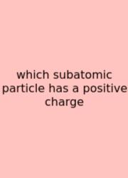 Which Subatomic Particle Has A Positive Charge