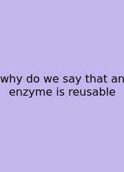 Why Do We Say That An Enzyme Is Reusable