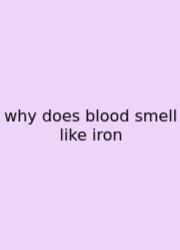 Why Does Blood Smell Like Iron
