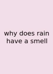 Why Does Rain Have A Smell