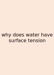 Why Does Water Have Surface Tension