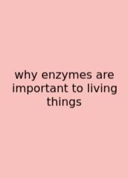 Why Enzymes Are Important To Living Things
